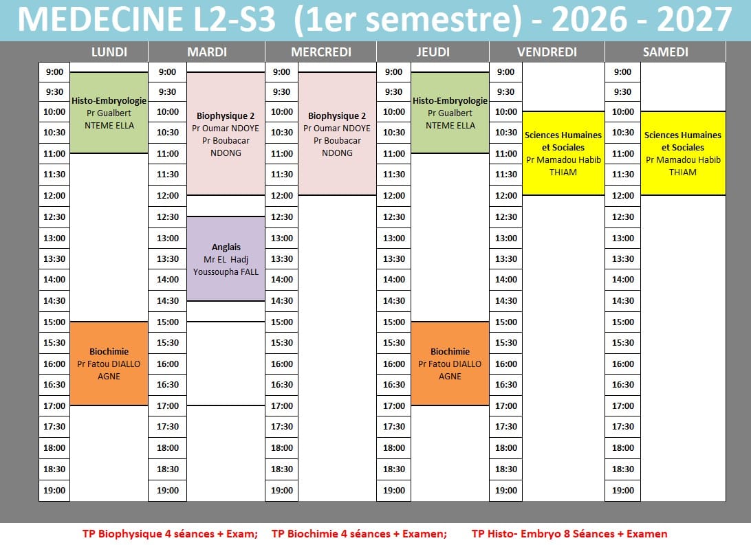 Emploi du temps L2